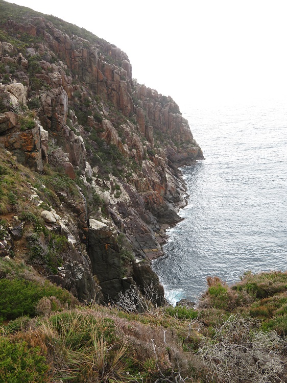 Misty views, Three Capes Track, Tasmania