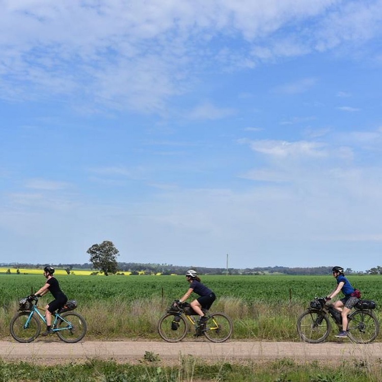 Cycling the Central West Cycle Trail.Source: Omafiets