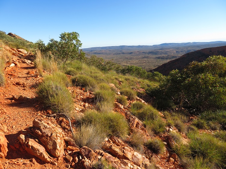 A rocky path on the Larapinta Trail