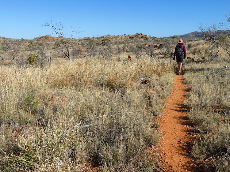 Walking through the Alice Valley on the Larapinta Trail Central Australia