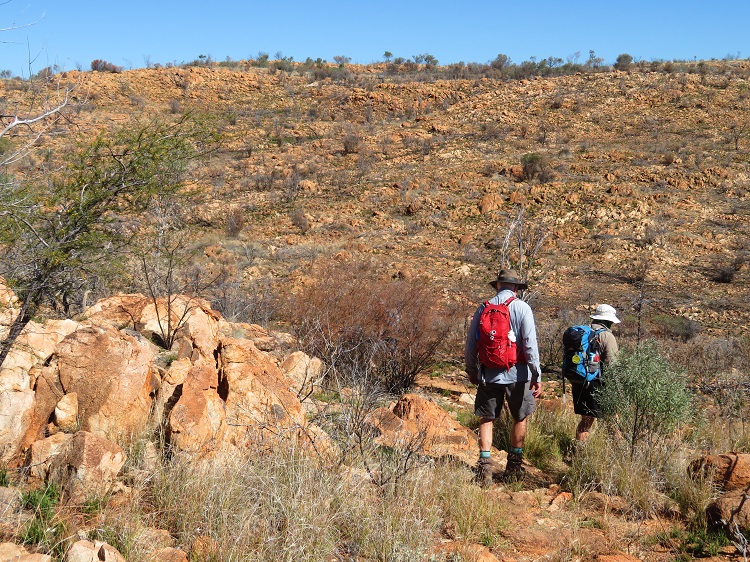 Walking through the Alice Valley on the Larapinta Trail Central Australia